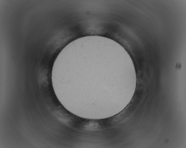 X0000091650162200708231229