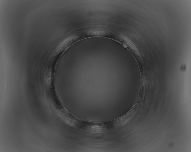 X0000091650163200708231229