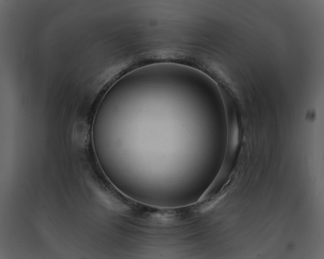 X0000091650164200708231229