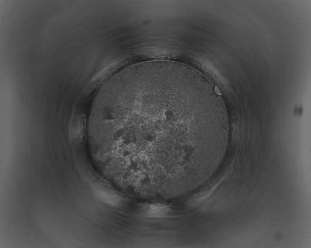 X0000091650165200708231229