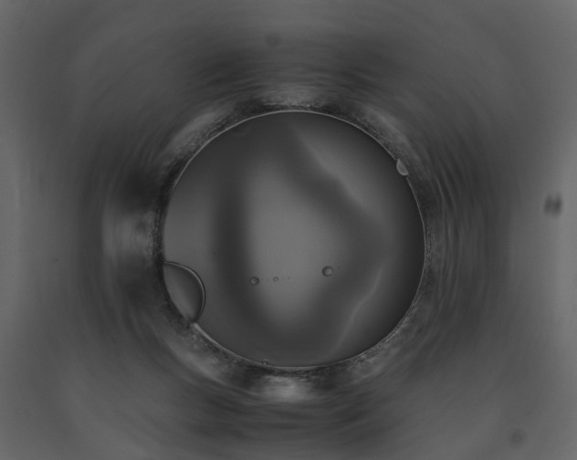 X0000091650167200708231229