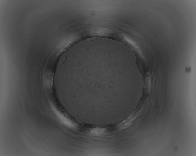 X0000091650168200708231229