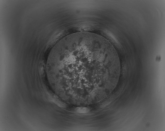 X0000091650169200708231229