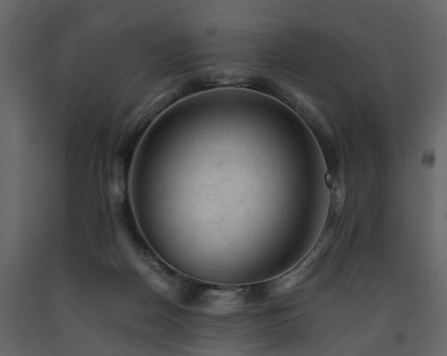 X0000091650170200708231229