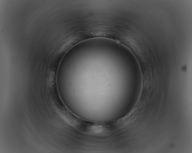 X0000091650171200708231229