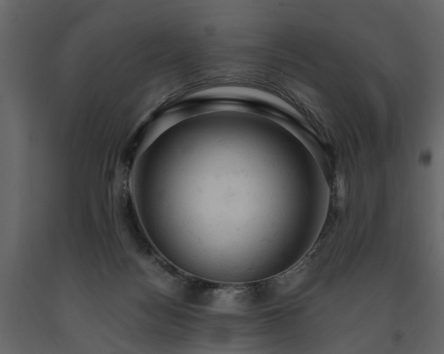 X0000091650172200708231229