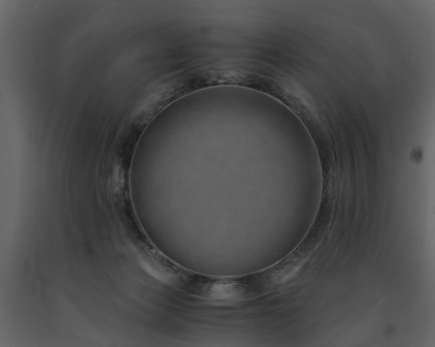 X0000091650173200708231229