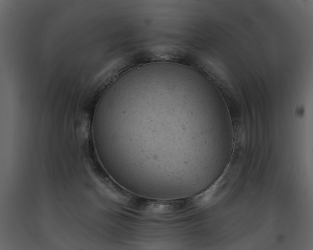 X0000091650174200708231229