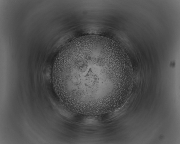 X0000091650175200708231229