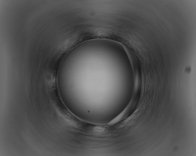 X0000091650176200708231229