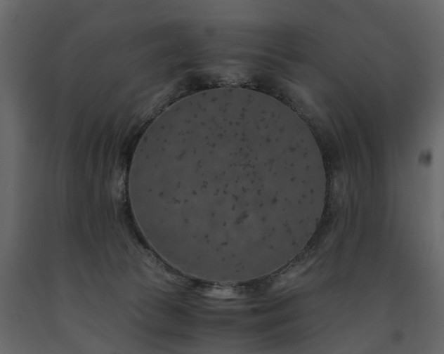 X0000091650177200708231229