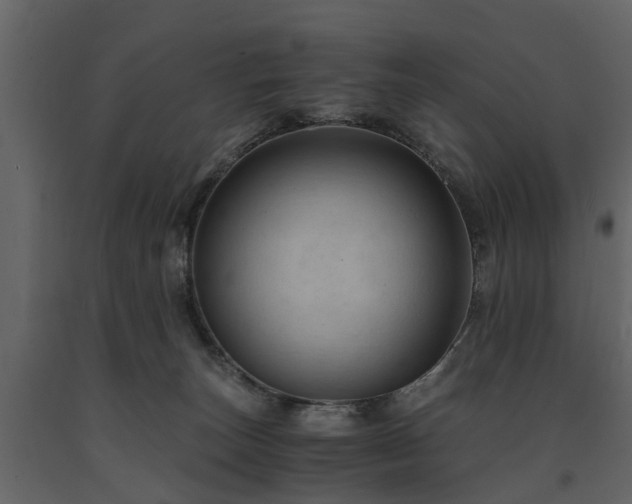X0000091650179200708231229