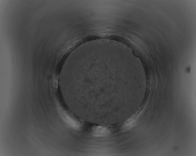 X0000091650180200708231229