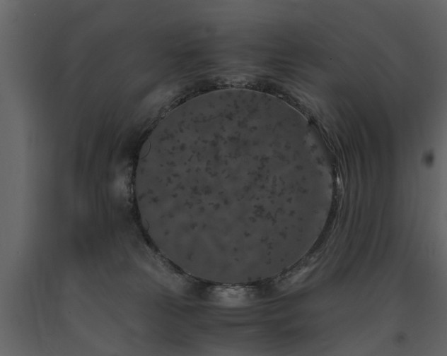 X0000091650181200708231229