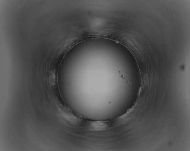 X0000091650183200708231229