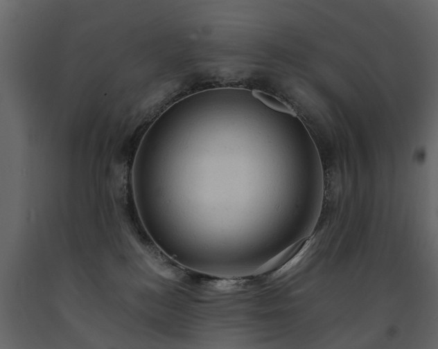 X0000091650184200708231229