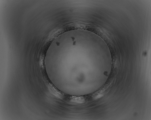 X0000091650185200708231229