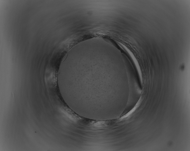 X0000091650186200708231229
