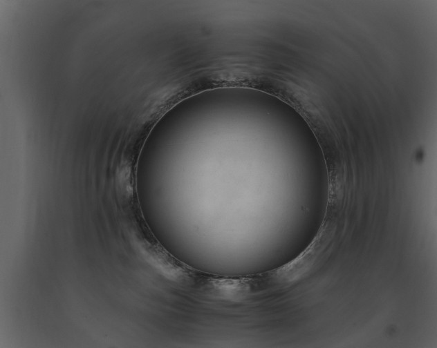 X0000091650187200708231229