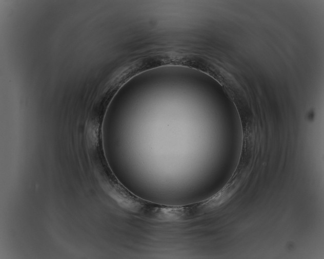 X0000091650188200708231229