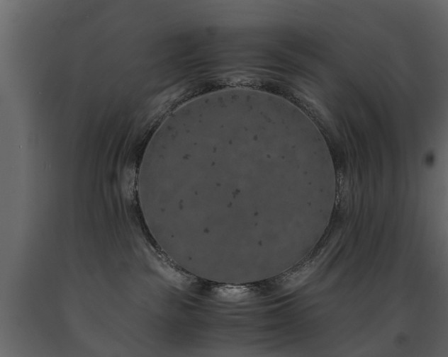 X0000091650189200708231229