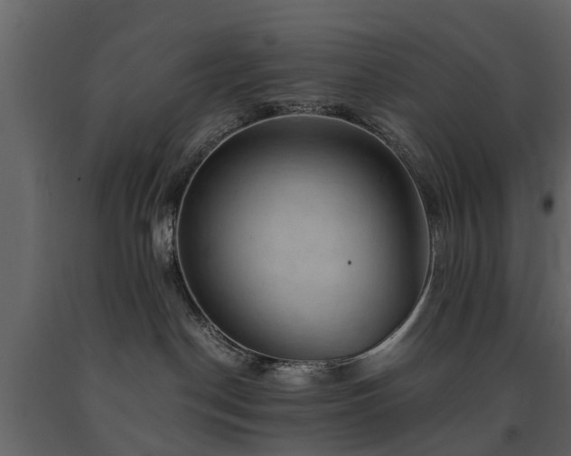 X0000091650190200708231229