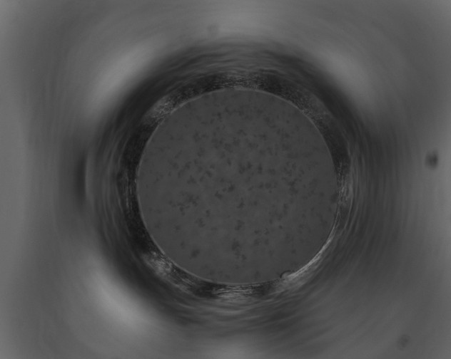 X0000091650191200708231229