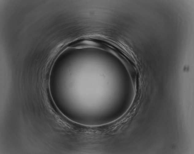 X0000091650193200708231228
