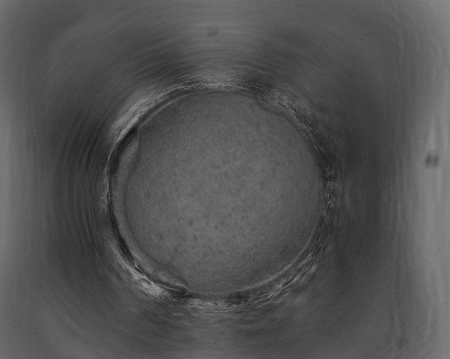 X0000091650194200708231228