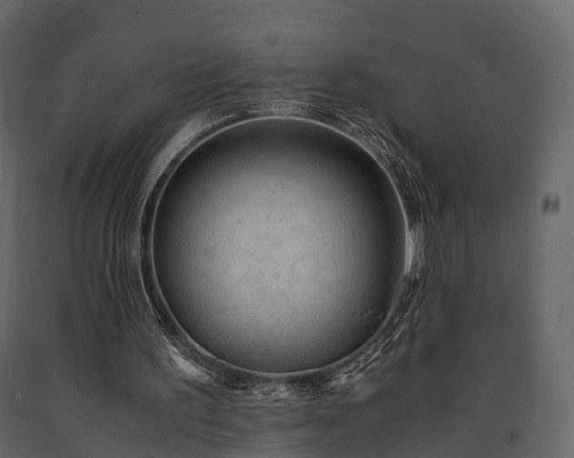 X0000091650195200708231228