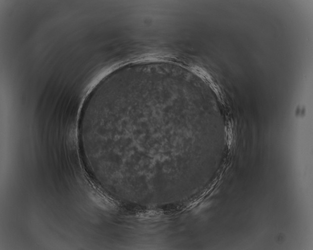 X0000091650196200708231228