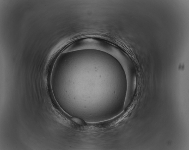 X0000091650197200708231228