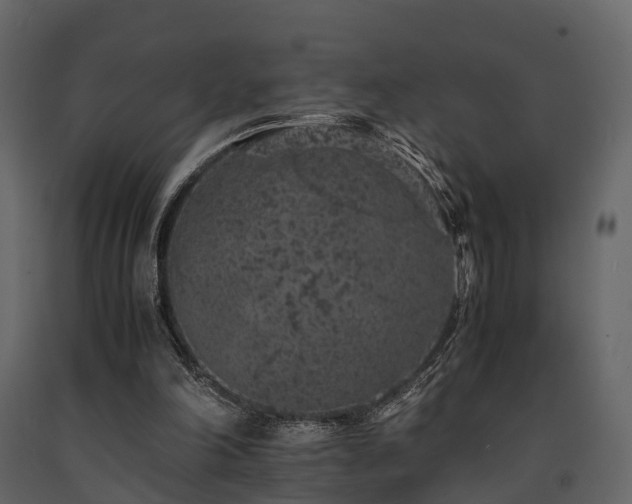 X0000091650198200708231228