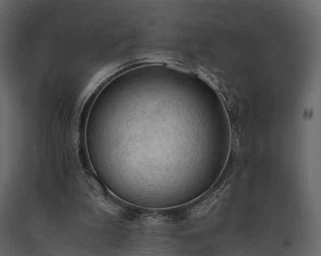 X0000091650199200708231228