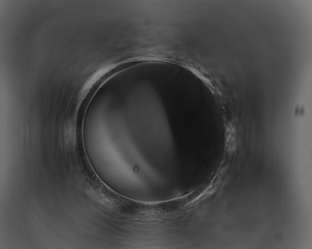 X0000091650200200708231228