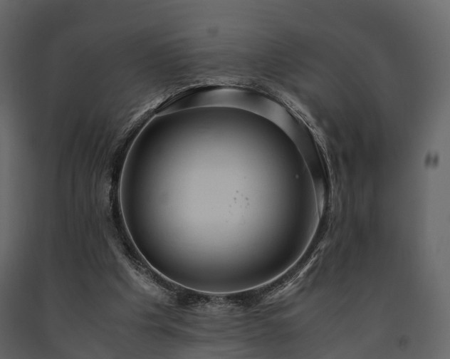 X0000091650201200708231228