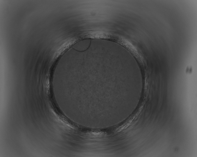 X0000091650202200708231228