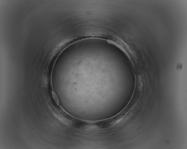X0000091650203200708231228