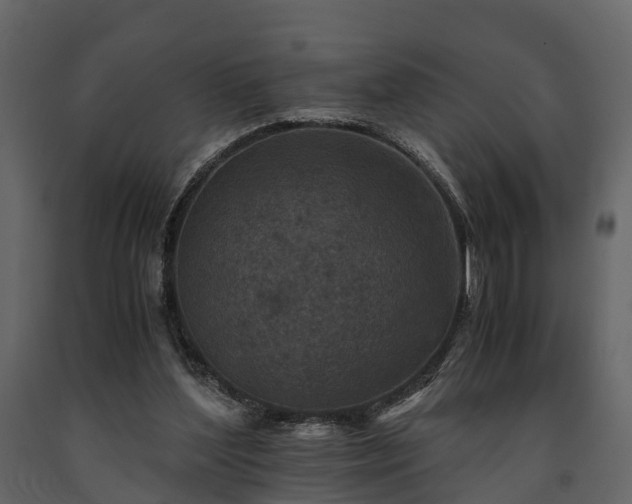 X0000091650204200708231228