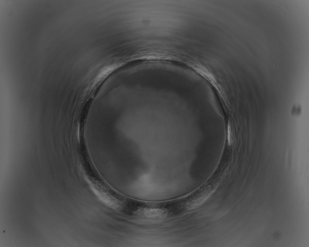 X0000091650205200708231228