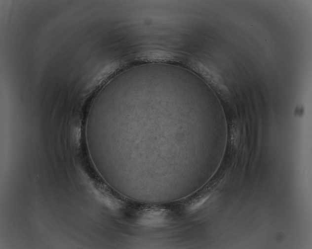 X0000091650206200708231228