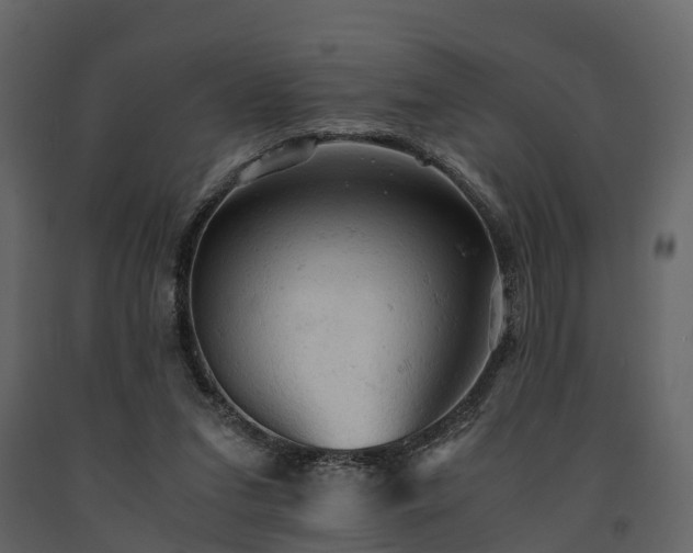 X0000091650207200708231228