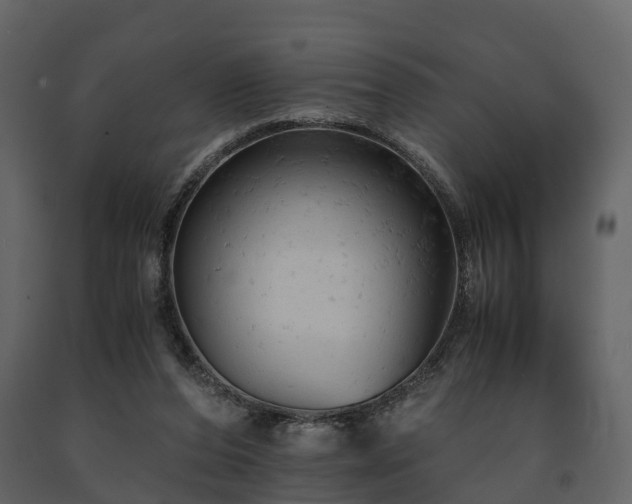 X0000091650208200708231228