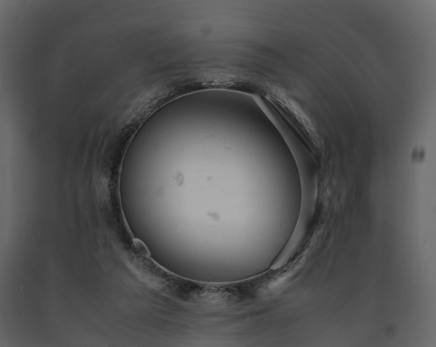 X0000091650209200708231228