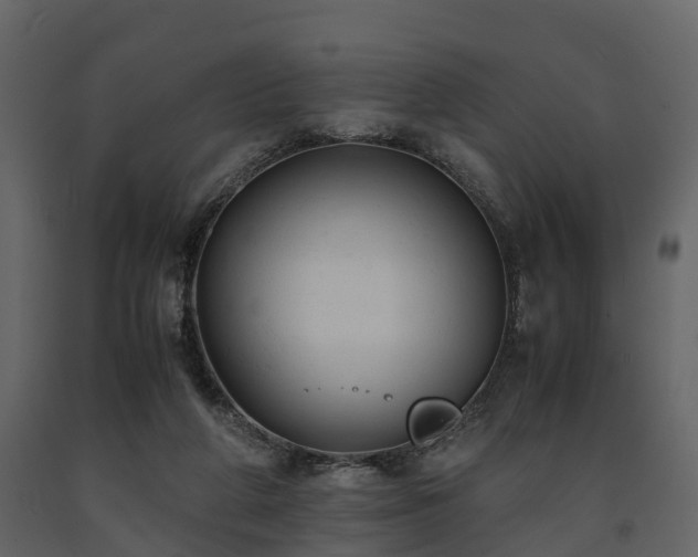 X0000091650210200708231228