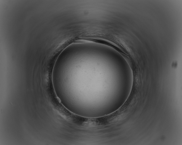 X0000091650211200708231228