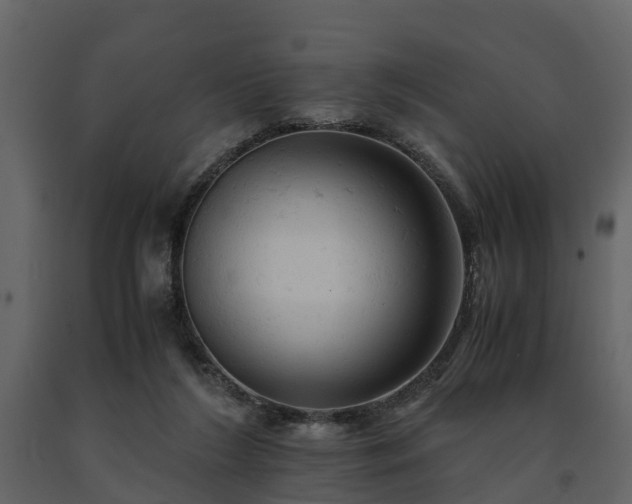 X0000091650212200708231228