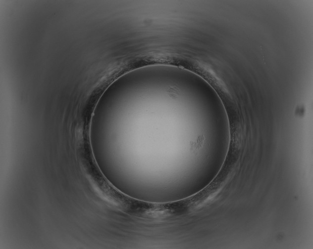 X0000091650213200708231228