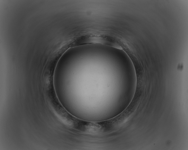 X0000091650215200708231228