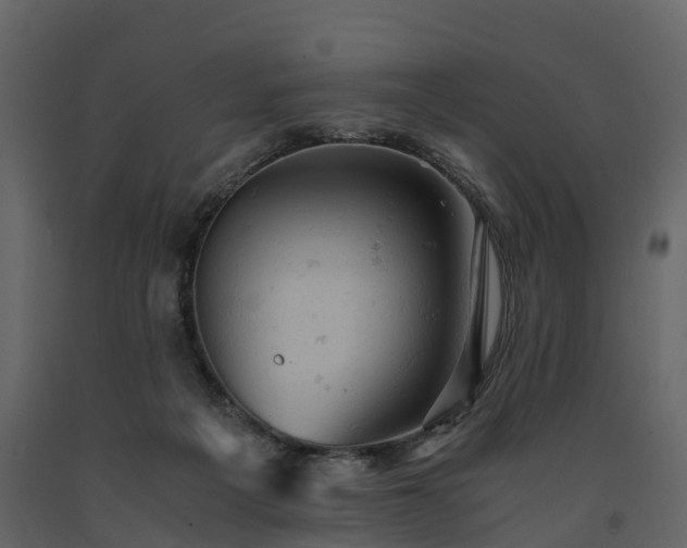 X0000091650217200708231228